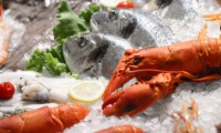 Färsk fisk på restaurang! Tips